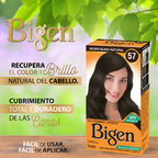 Tinte En Polvo Permanente Para El Cabello BIGEN x 6g