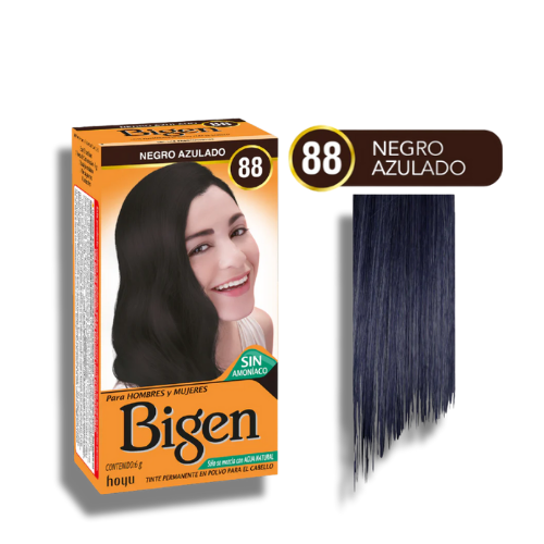 Tinte En Polvo Permanente Para El Cabello BIGEN x 6g