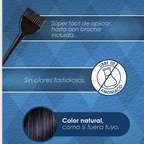 Tinte De Barbas COLOR-1  2x15g